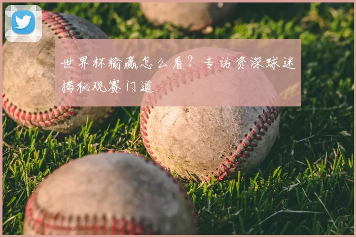 世界杯输赢怎么看？专访资深球迷揭秘观赛门道
