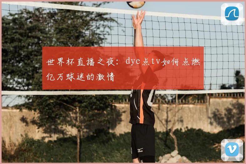 世界杯直播之夜：dye点tv如何点燃亿万球迷的激情