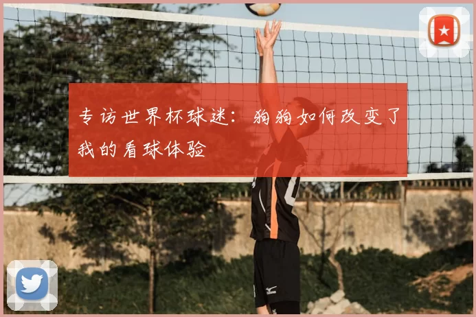 专访世界杯球迷:狗狗如何改变了我的看球体验