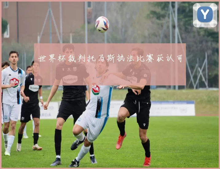 世界杯裁判托马斯执法比赛获认可