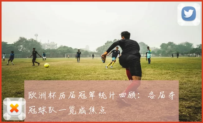 欧洲杯历届冠军统计回顾：各届夺冠球队一览成焦点