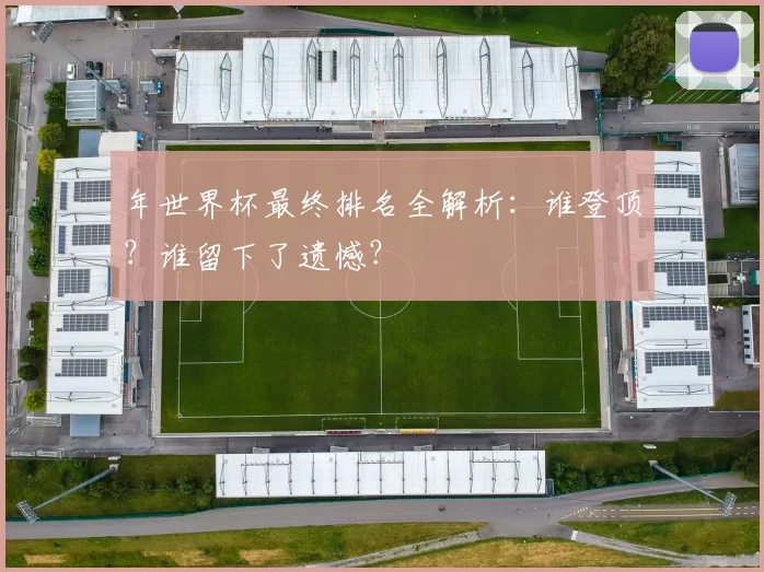 年世界杯最终排名全解析：谁登顶？谁留下了遗憾？