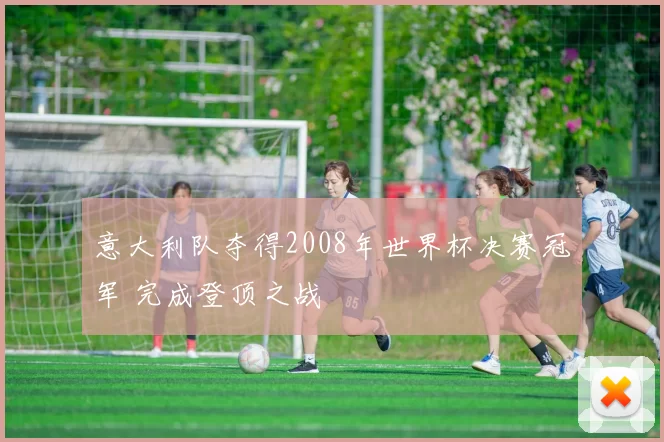 意大利队夺得2008年世界杯决赛冠军 完成登顶之战