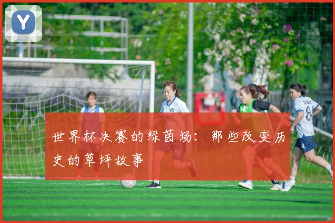 世界杯决赛的绿茵场:那些改变历史的草坪故事
