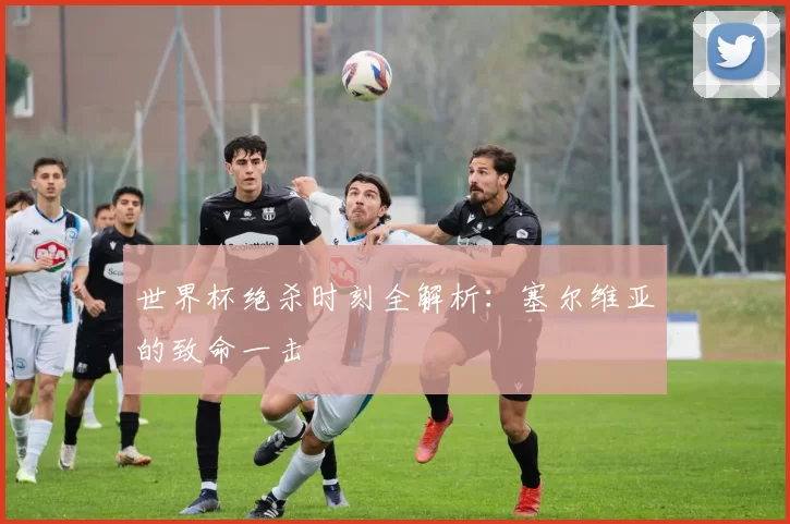 世界杯绝杀时刻全解析：塞尔维亚的致命一击