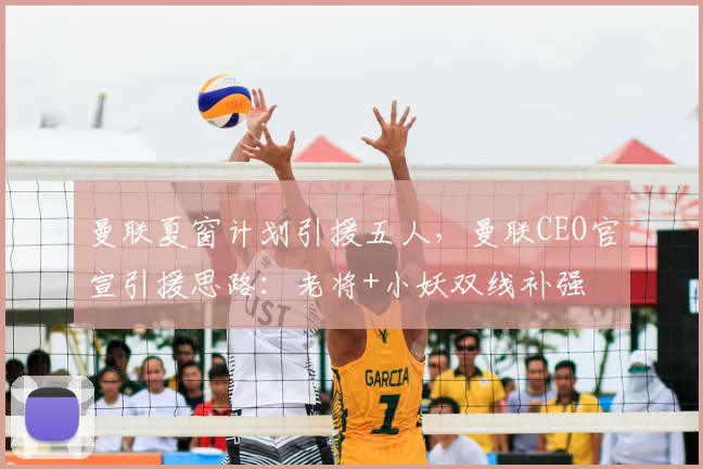 曼联夏窗计划引援五人，曼联CEO官宣引援思路：老将+小妖双线补强