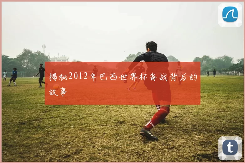 揭秘2012年巴西世界杯备战背后的故事