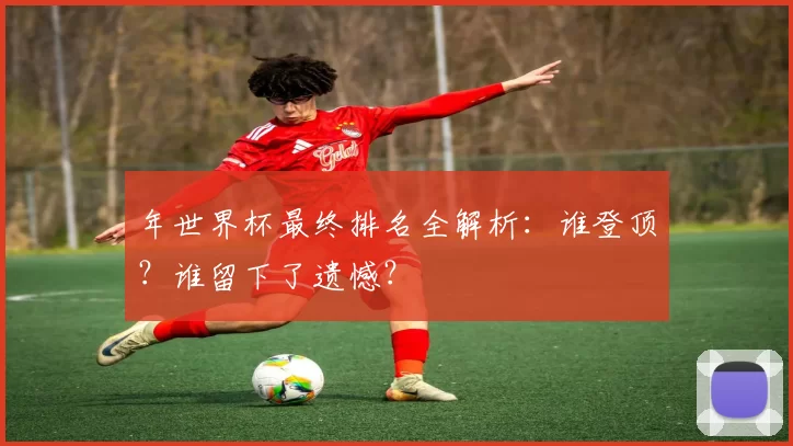 年世界杯最终排名全解析:谁登顶?谁留下了遗憾?
